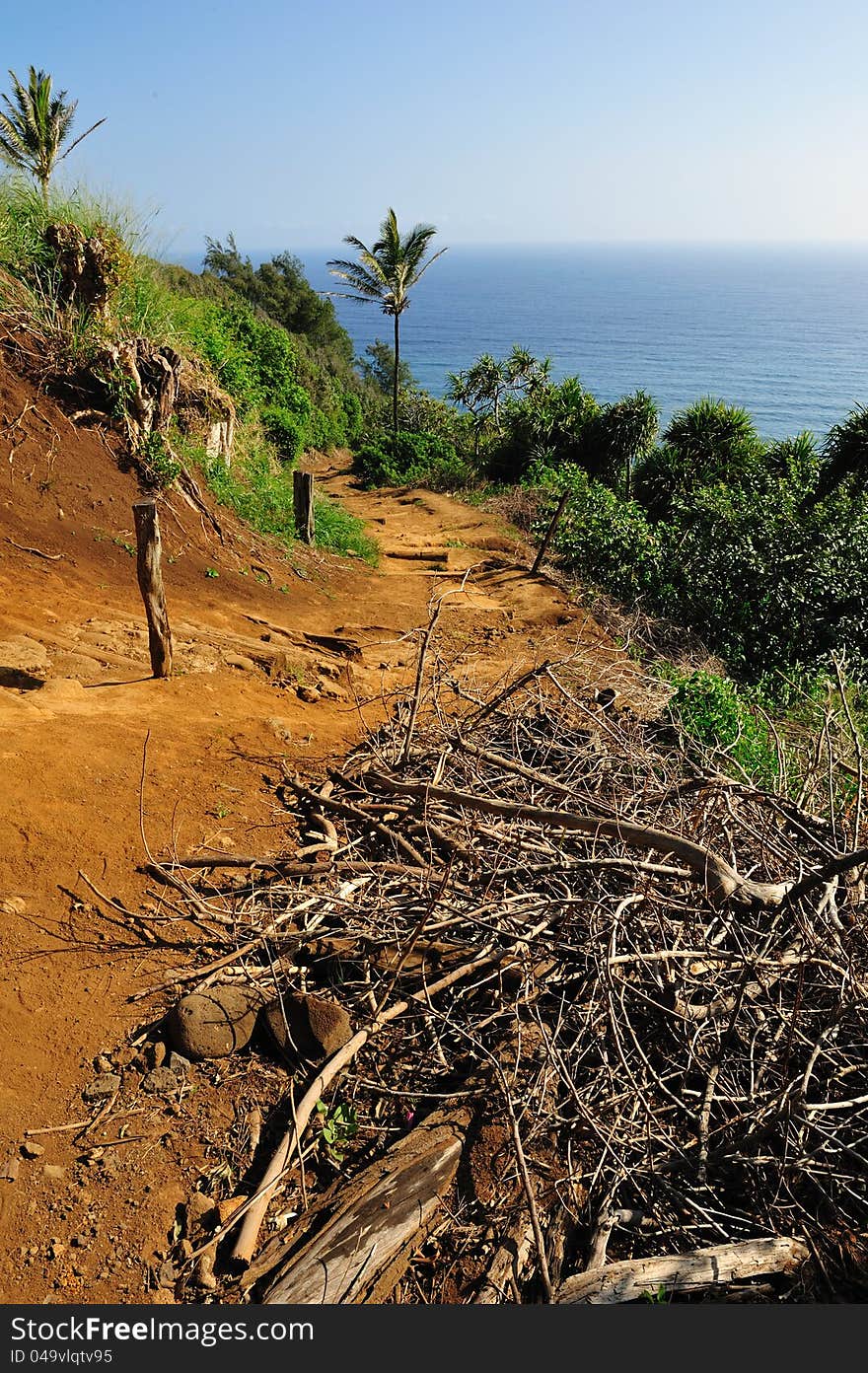 Beginning of Awini Trail Big Island Hawaii