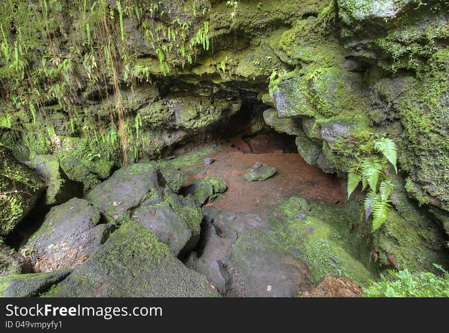 Entrance to Lava Tubes, Kaumana Caves Contry Park