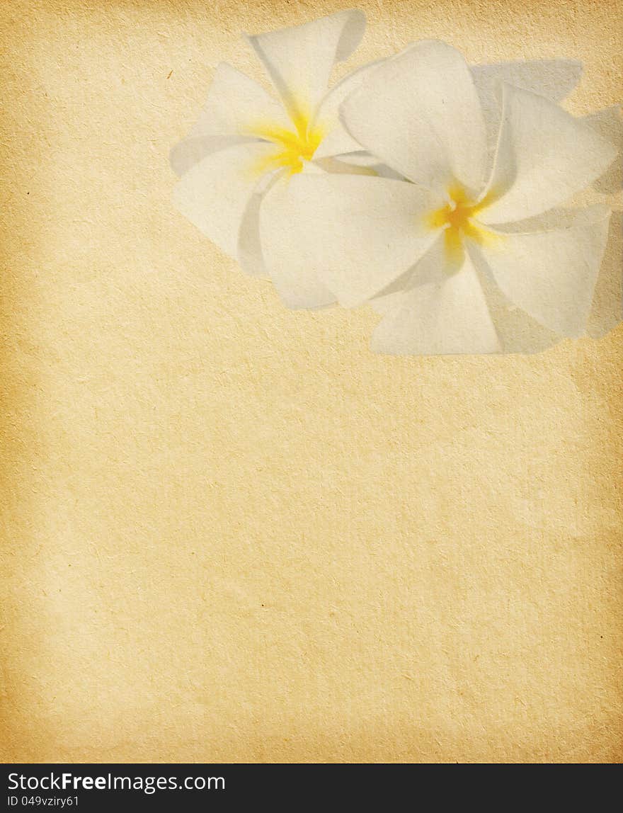 paper with tropical flowers. Plumeria. paper with tropical flowers. Plumeria