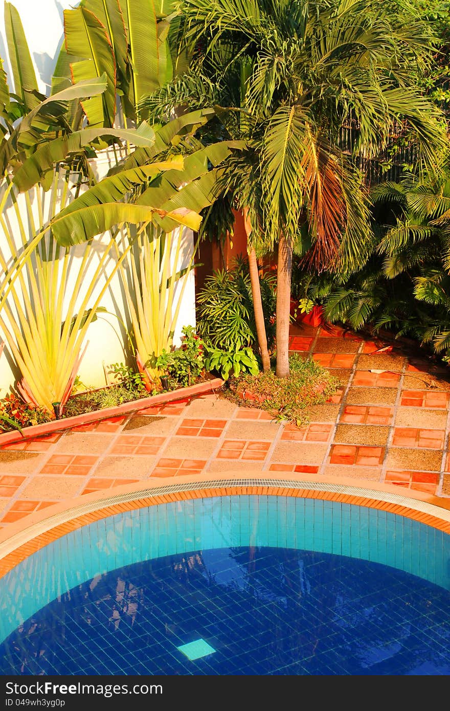 Swimming pool of the tropical luxury resort. Swimming pool of the tropical luxury resort