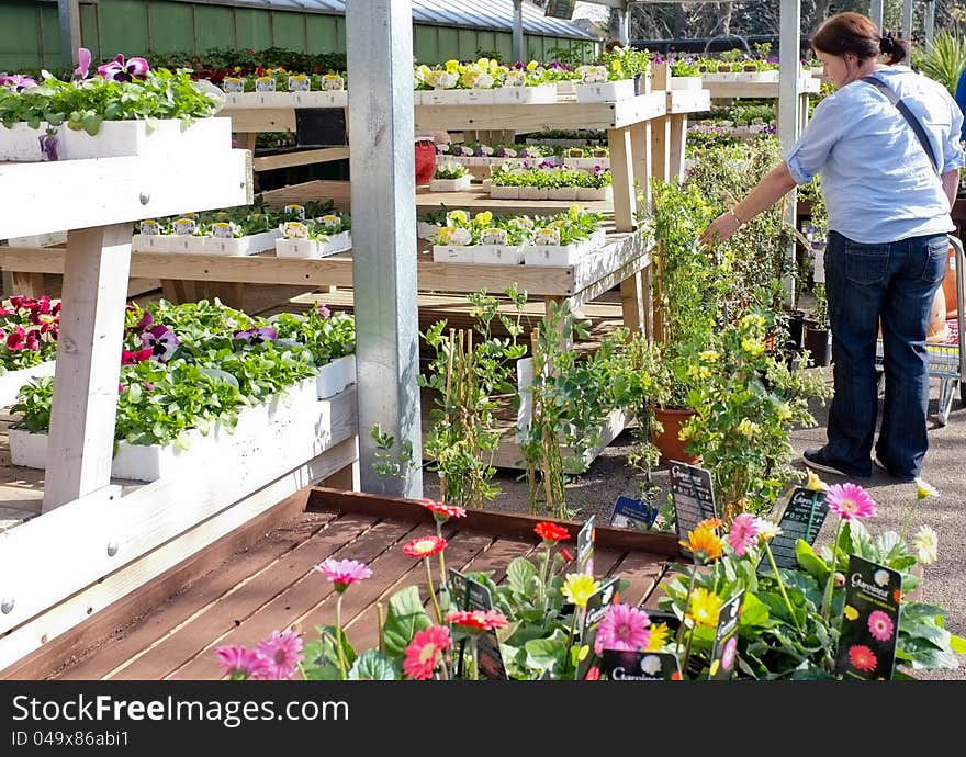 Lady Customer In Garden Centre