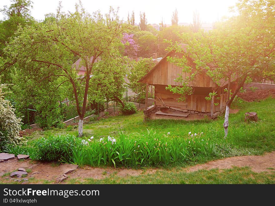 Countryside, green grass. historical wooden houses