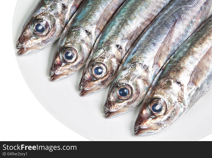 The heads of raw mackerel on a plate. On a white background.