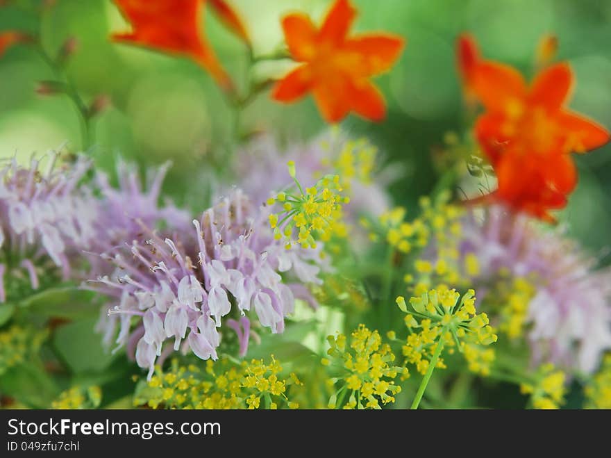 Herbal flower arrangement in pastel colors