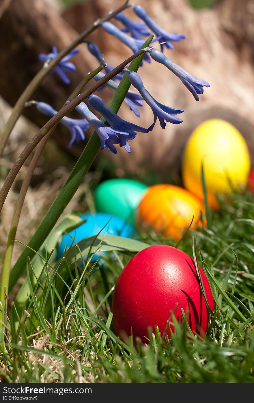 Red egg in a grass