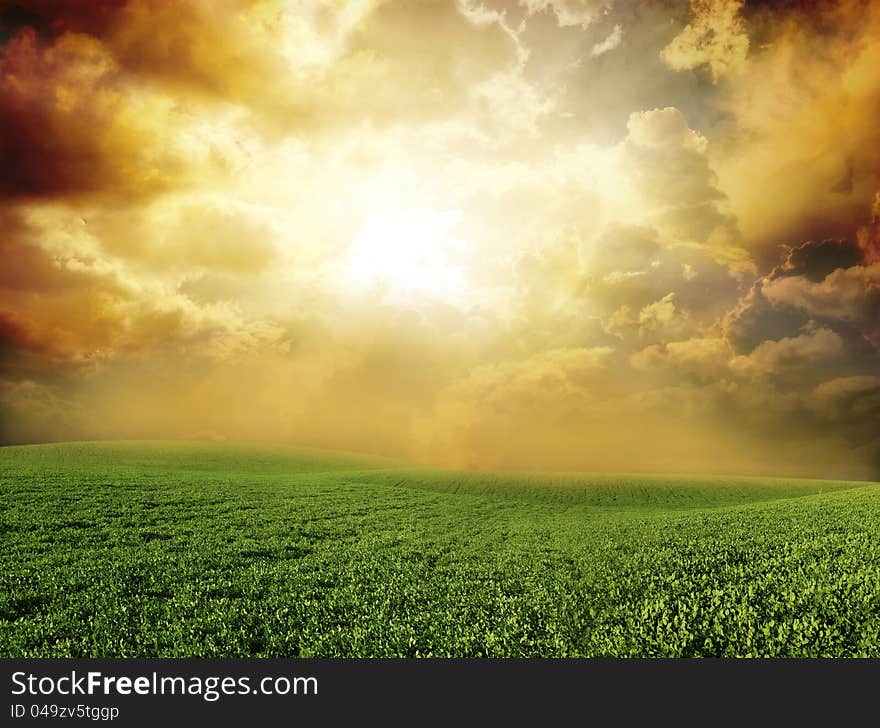 Green meadow under blue sky with clouds. Green meadow under blue sky with clouds