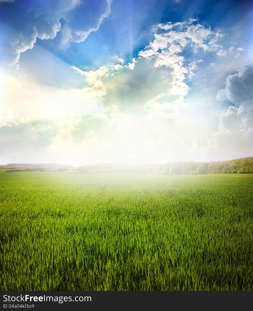 Green meadow under blue sky with clouds. Green meadow under blue sky with clouds