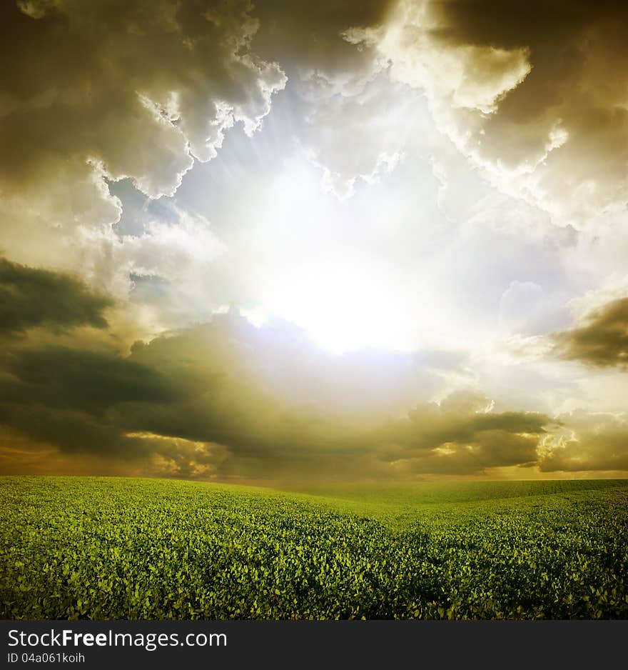 Green meadow under blue sky with clouds. Green meadow under blue sky with clouds