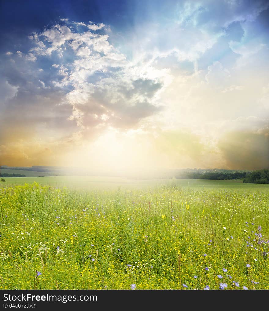 Green meadow under blue sky with clouds. Green meadow under blue sky with clouds