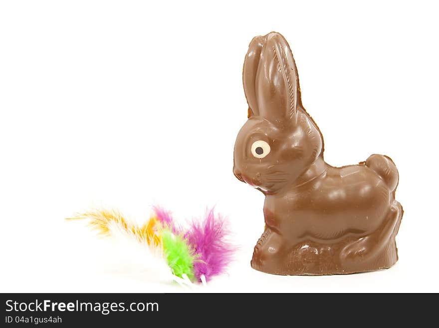 Chocolate Bunny