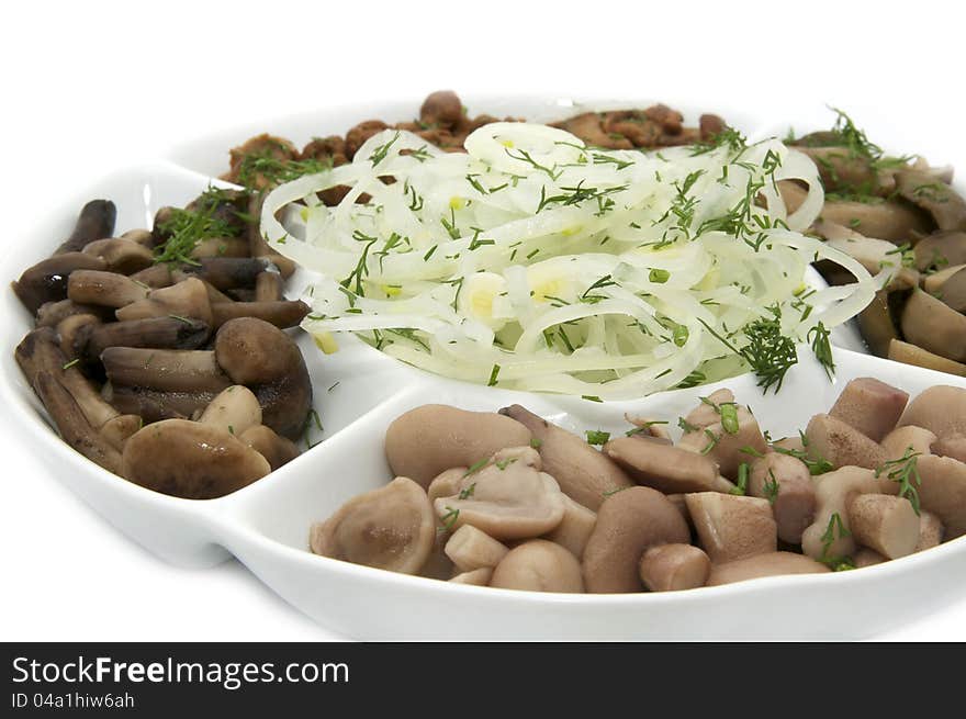 Plate with an assortment of mushrooms on a white background. Plate with an assortment of mushrooms on a white background