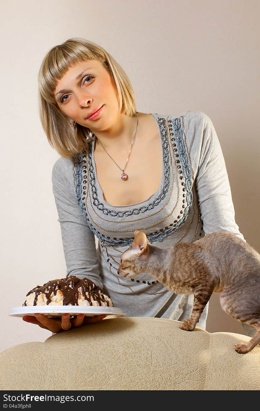 Girl weeds the cat cornish rex with cake. Girl weeds the cat cornish rex with cake