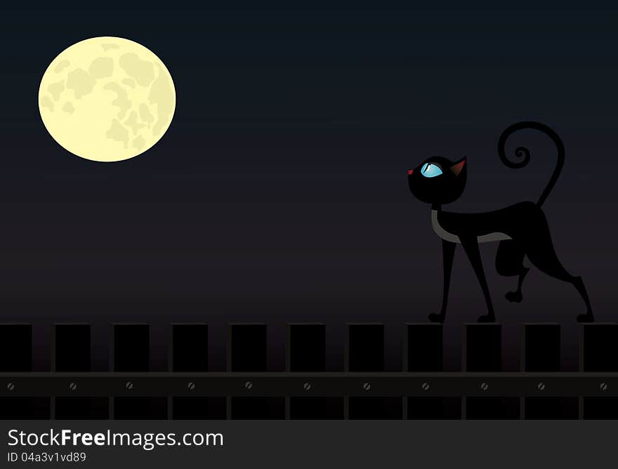 Cat On Fence