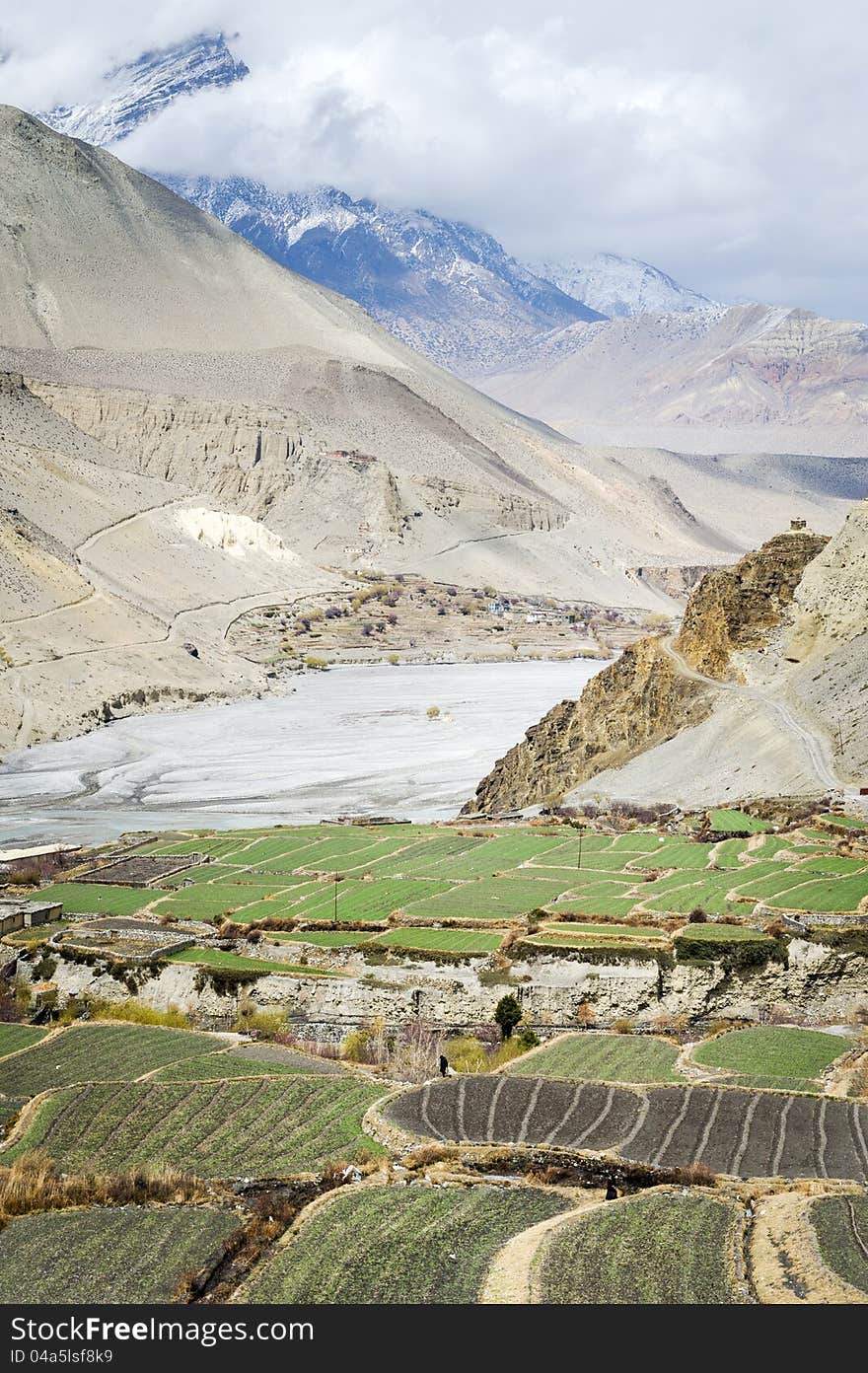 Spring in Himalaya mountains