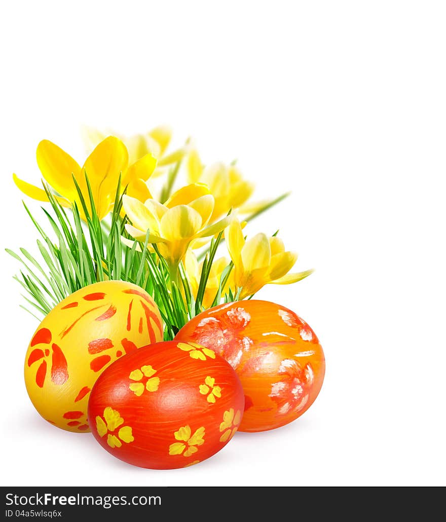 Easter eggs and yellow crocuses