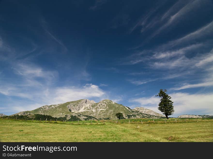 Mountain In Durmitor Parc Montenegro