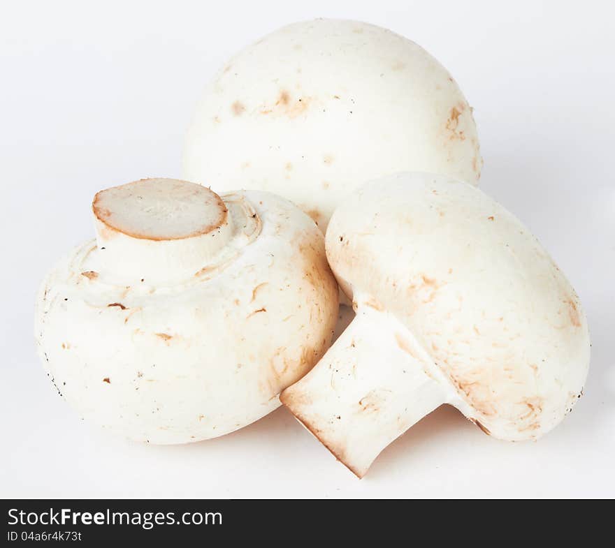 Fresh mushroom on white background