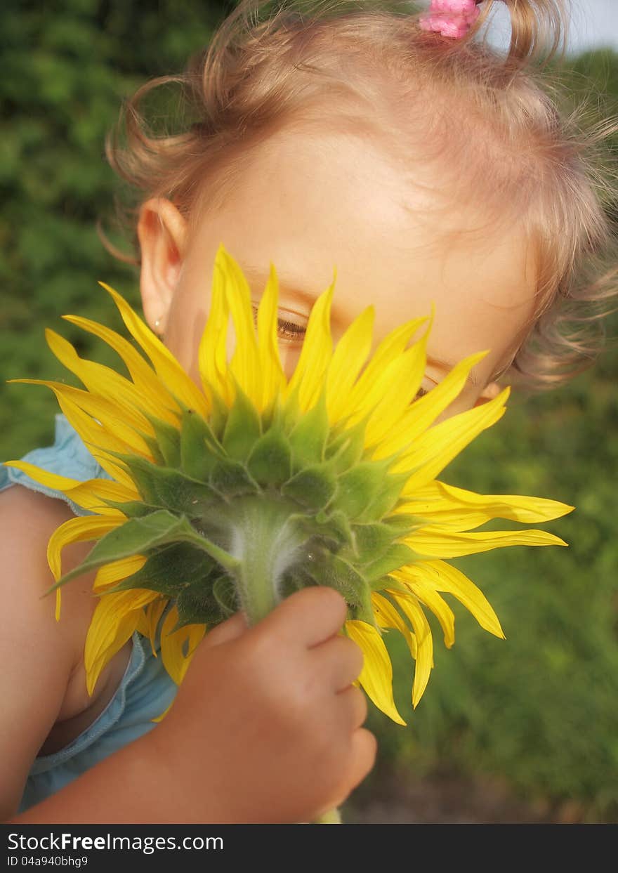 Little girl with big sunflower. Little girl with big sunflower