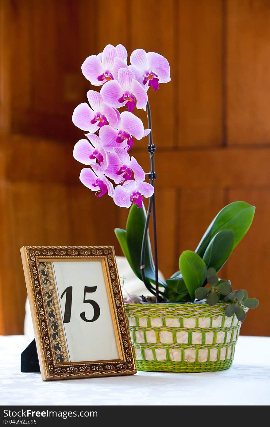 Orchid centerpiece