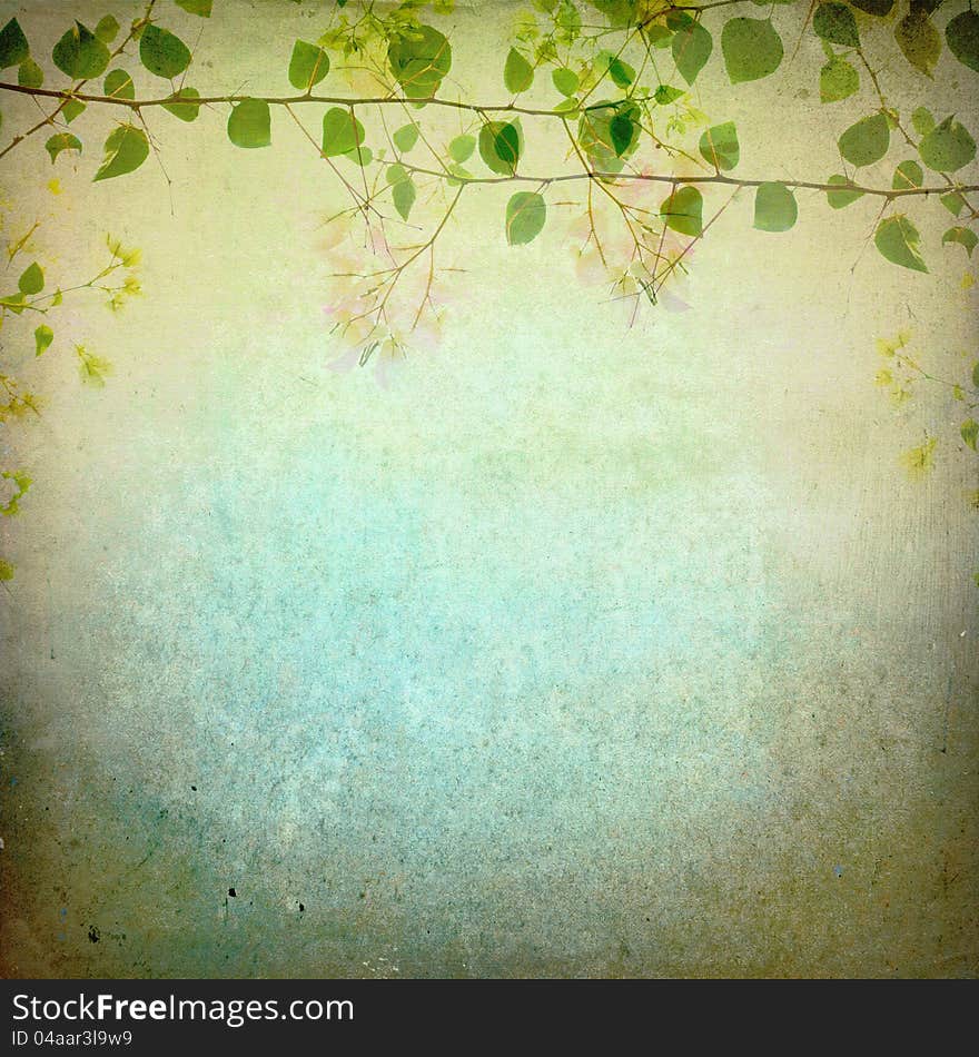 Bougainvilleas's treetop on grunge background. Bougainvilleas's treetop on grunge background