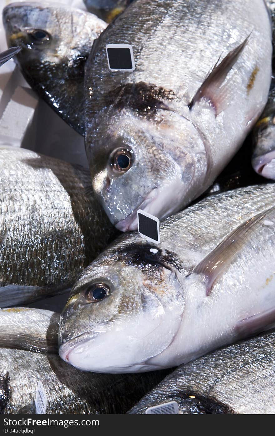 Sea fish exposed on the shelves at the market