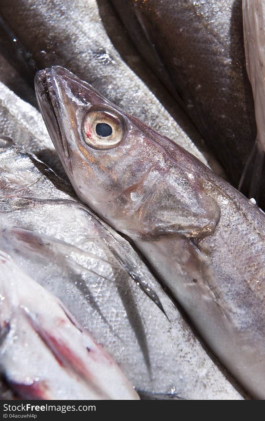 Sea fish exposed on the shelves at the market