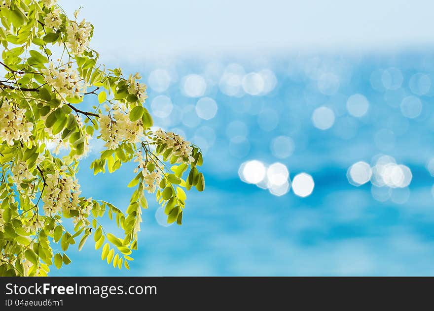 Abstract spring or summer backgrounds with beautiful blue bokeh