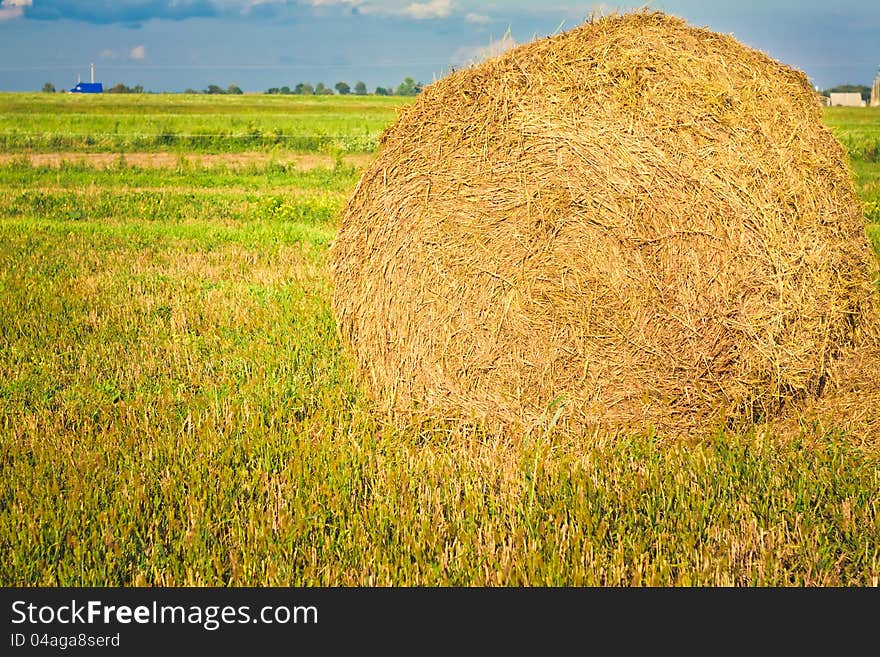 Harvested field with straw bales in summer