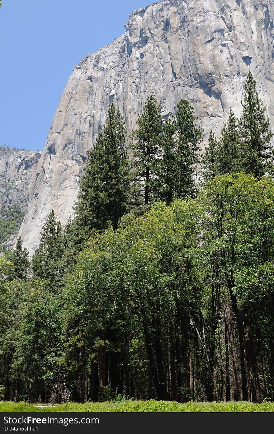 El Capitan - a large granite rock in Yosemite popular for rock climbers. El Capitan - a large granite rock in Yosemite popular for rock climbers