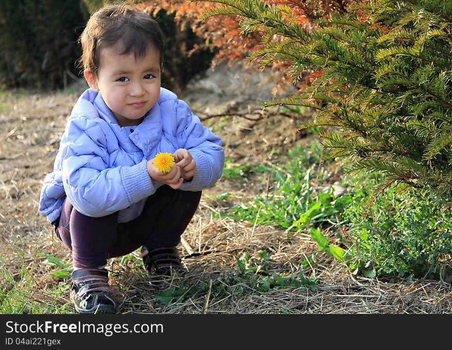 Picking Flowers