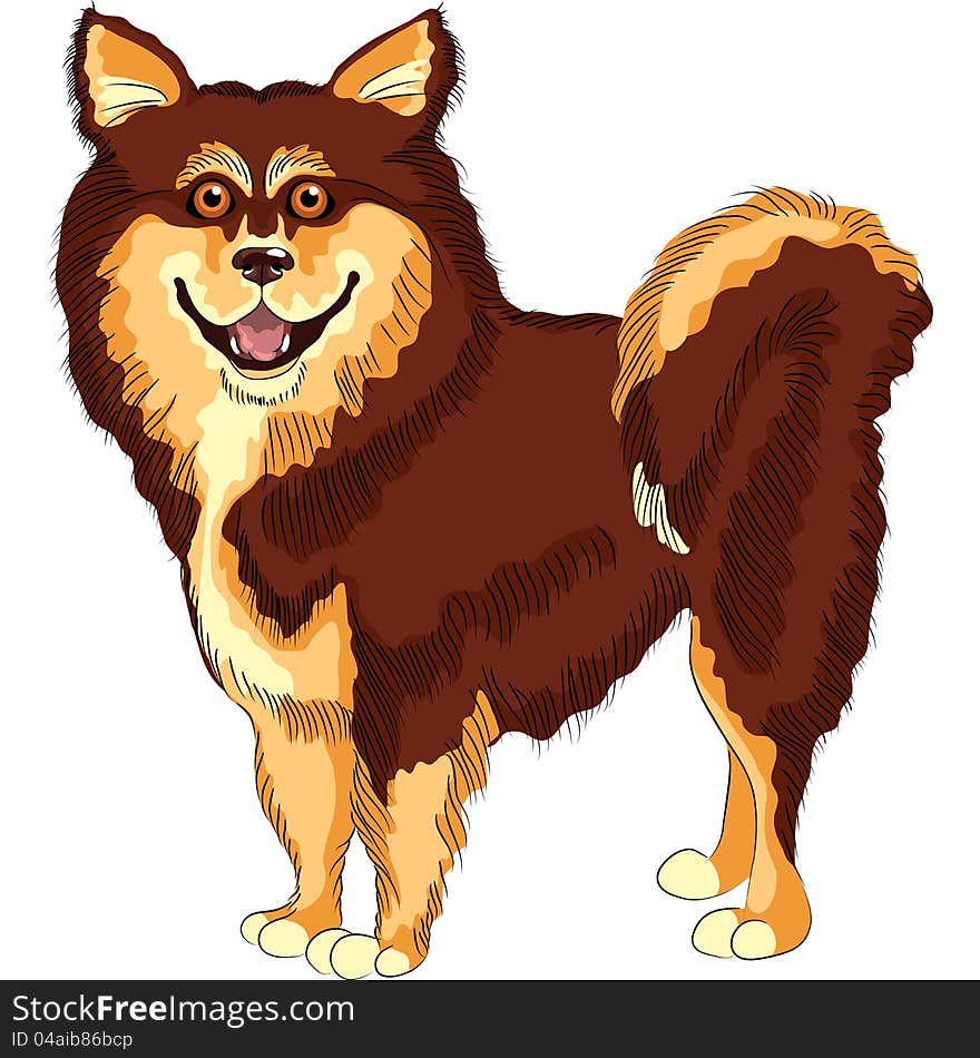 Vector Dog  Lapphund Breed Smiles