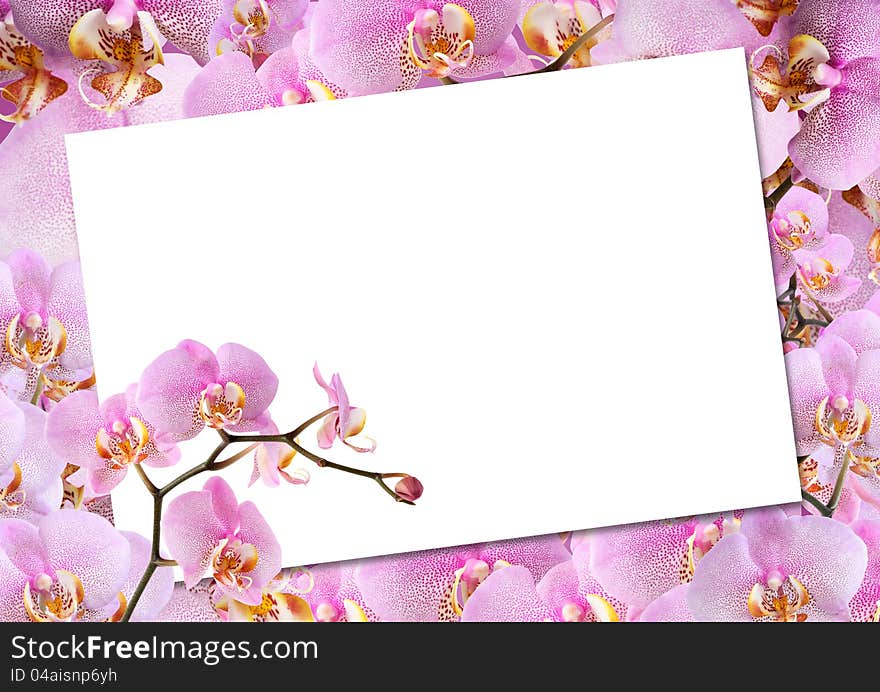 Blank sheet of paper for text on pink orchid flowes background. Blank sheet of paper for text on pink orchid flowes background