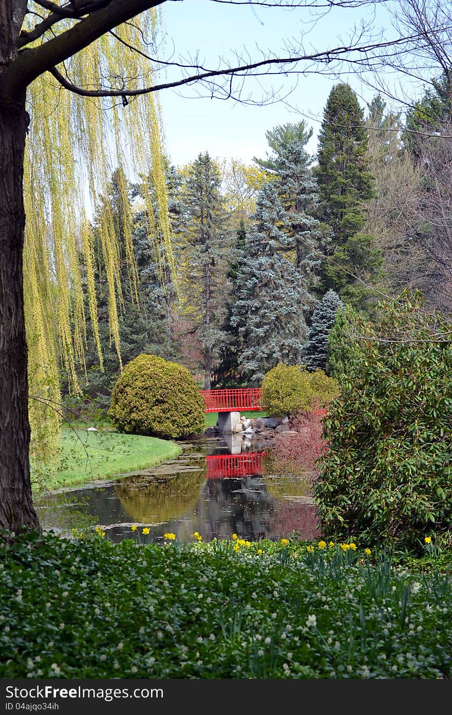 A beautiful view of a red bridge on a nature trail