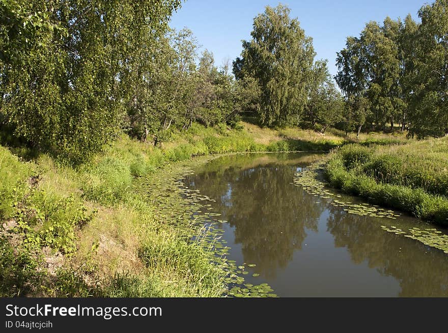 Still river with water lily in summer time