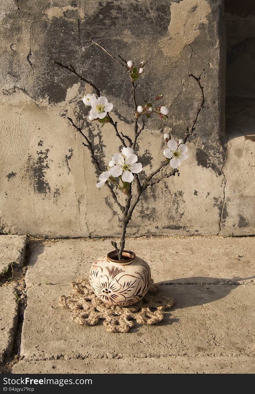 Branch in a vase