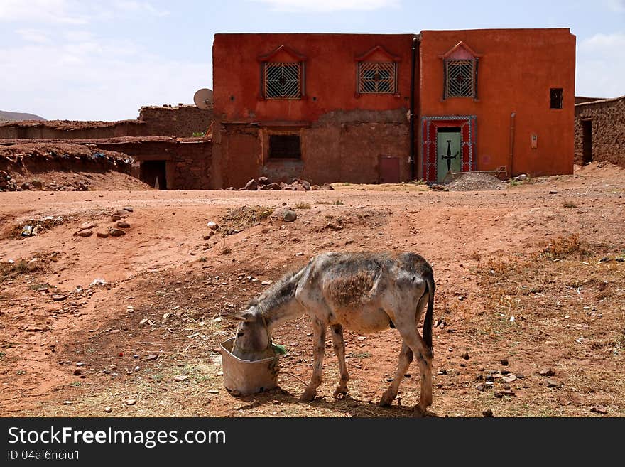 Donkey In front of an old house In Telouet, Morocco. Donkey In front of an old house In Telouet, Morocco