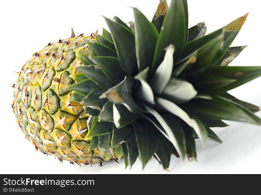 Whole fresh pineapple fruit isolated on white background. Image is taken as a closeup pic going into blur, fullframe. Whole fresh pineapple fruit isolated on white background. Image is taken as a closeup pic going into blur, fullframe.