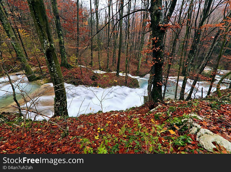 Clear stream and November foliage in the mountains