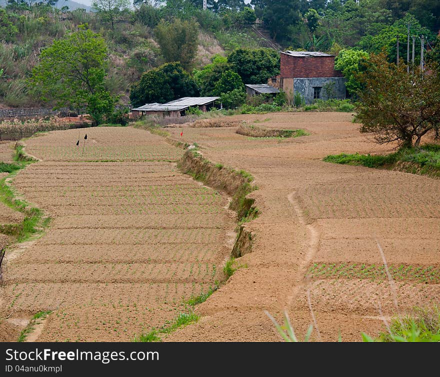 Farmland, Rural