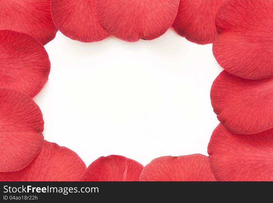 Red petals background