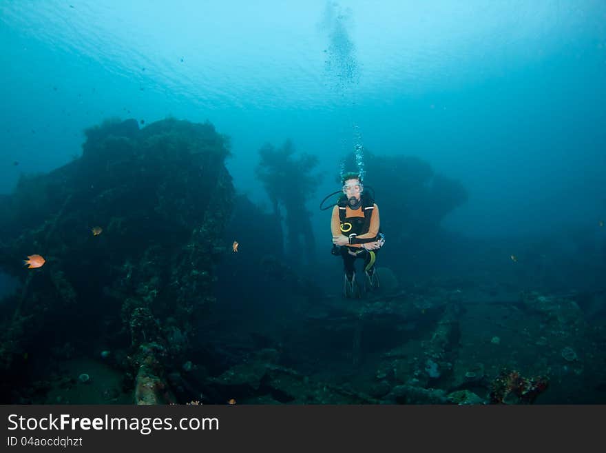 Female diver a the Liberty Wreck at Tulamben, Bali. Female diver a the Liberty Wreck at Tulamben, Bali