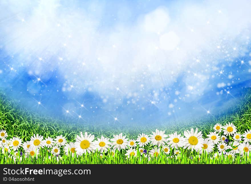 Green Field With Daisy Flowers