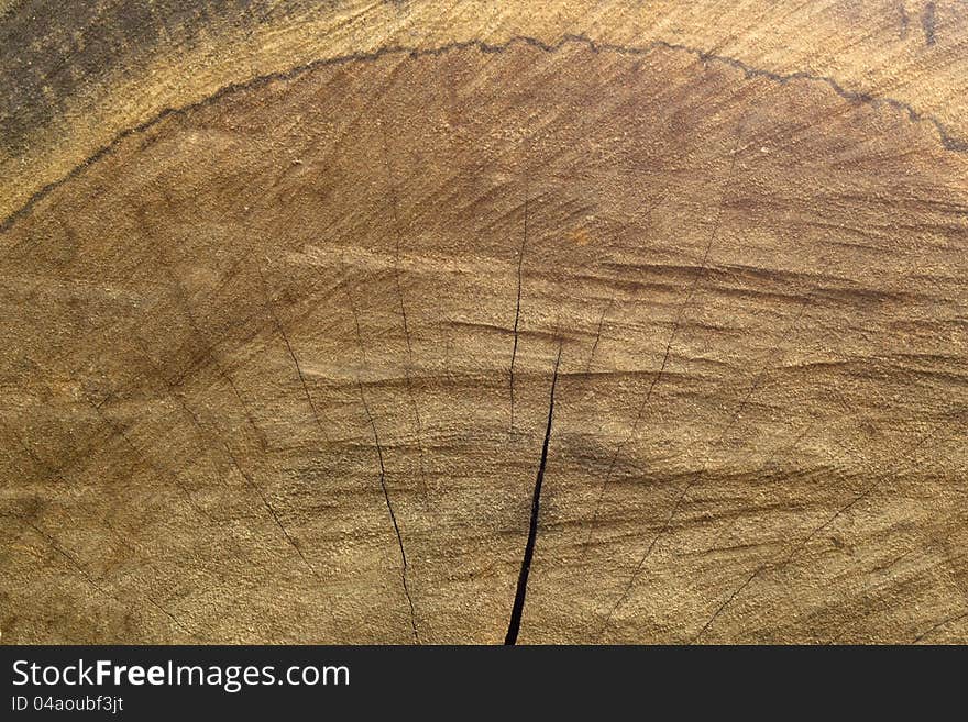 Abstract wood texture background old