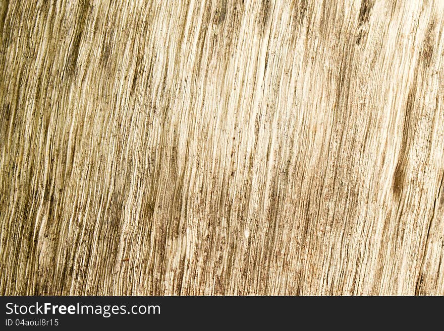 Abstract wood texture background old