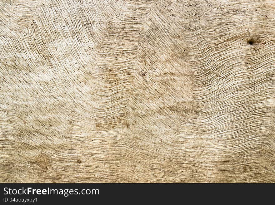 Wood texture background