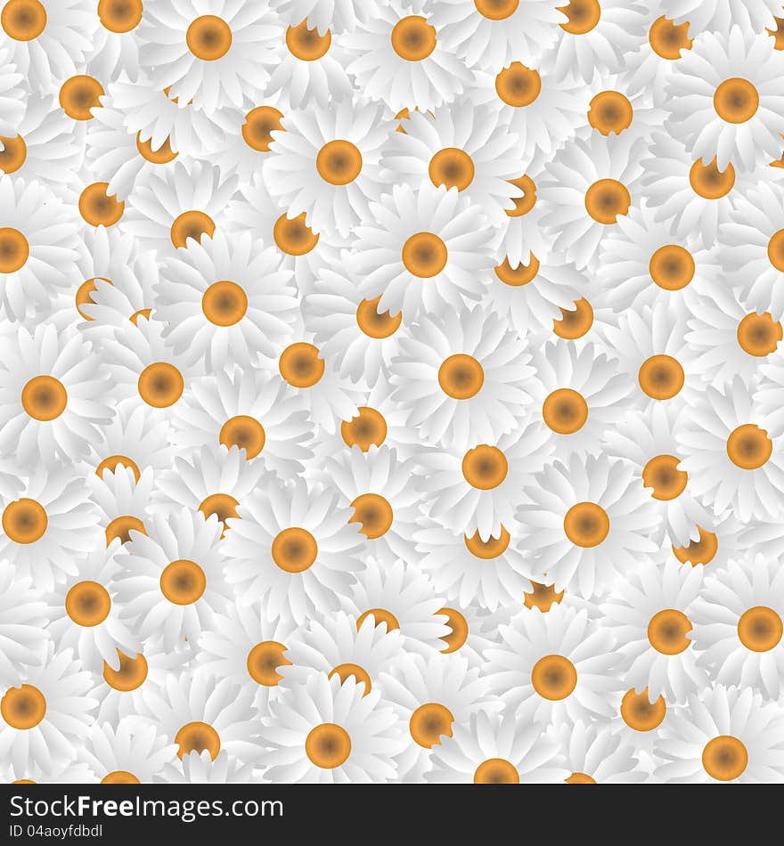 Seamless pattern of white camomiles