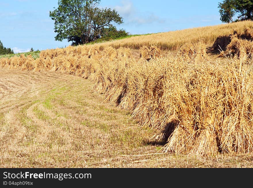 Landscape with haystack