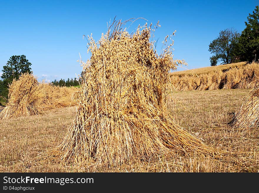 Landscape with haystack - in the summer