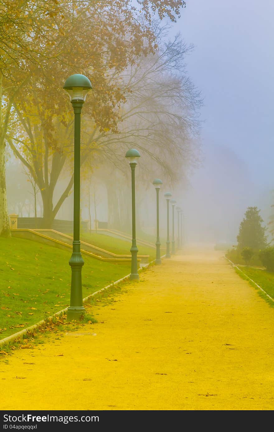 Fog in the Park