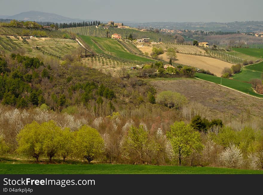 Spoleto hills